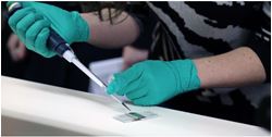 Picture of Genetics and Molecular Biology in Biomedicine